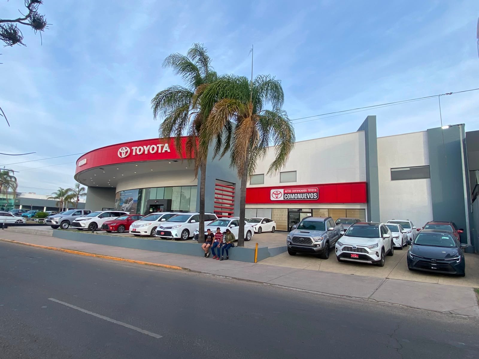Toyota dealership storefront with red and white branding, palm tree, and vehicles parked in front on sunny day